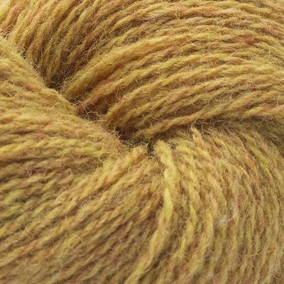 BC GARN Bio Shetland yarn Mustard