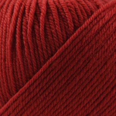 Cascade 220 Superwash Burnt Orange