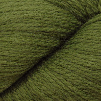 Cascade Yarns Eco+ Grasshopper